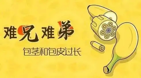 ��Ƥ��������ʲô����������