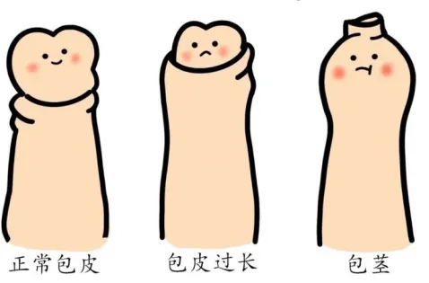 ��Ƥ����������Ŷ���Ǯ